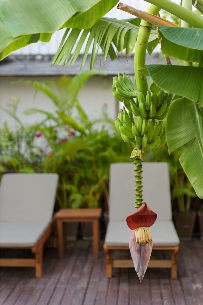 Sabai Sathorn * Bangkok